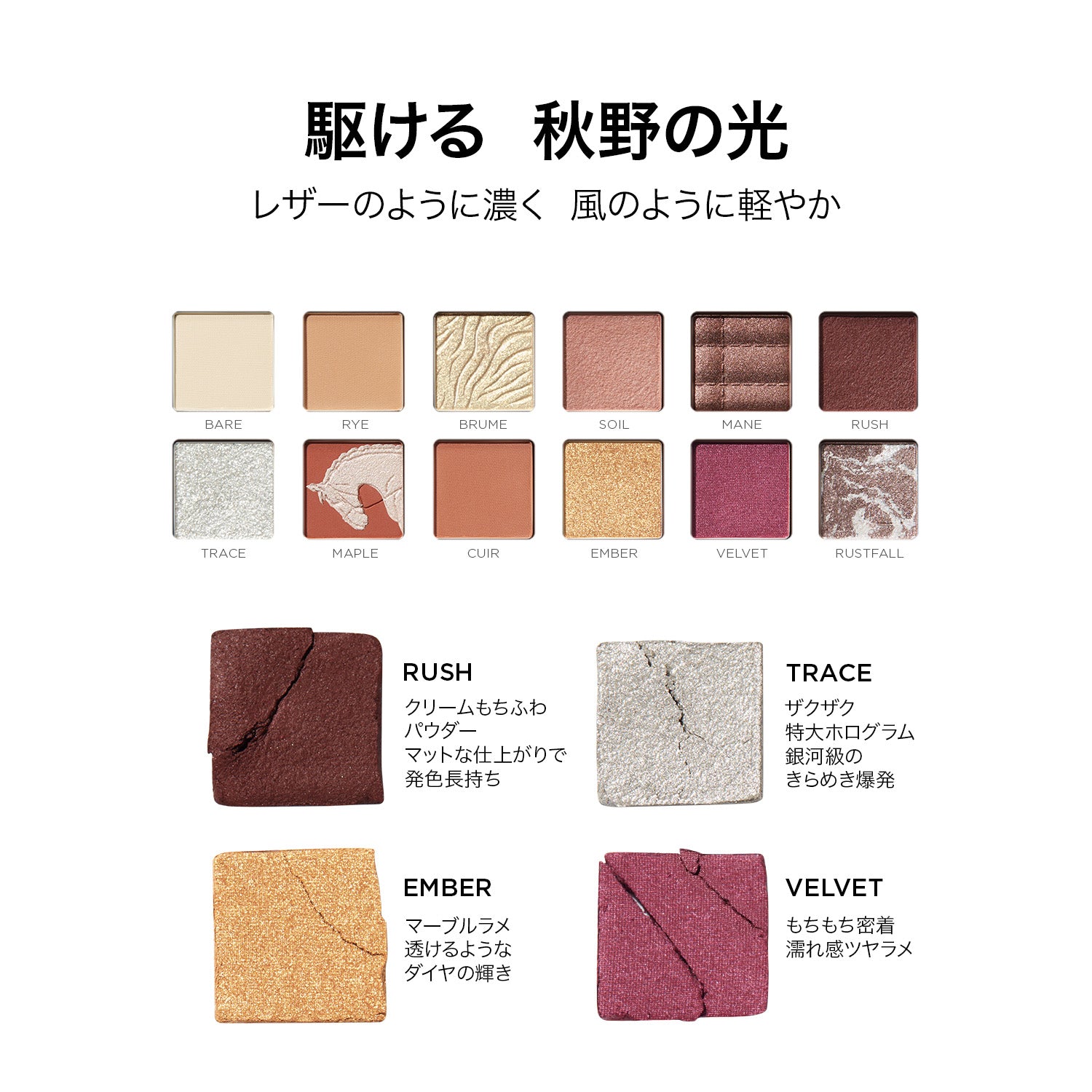 エクスプローラ 12色動物アイシャドウパレット オータムチェスナット