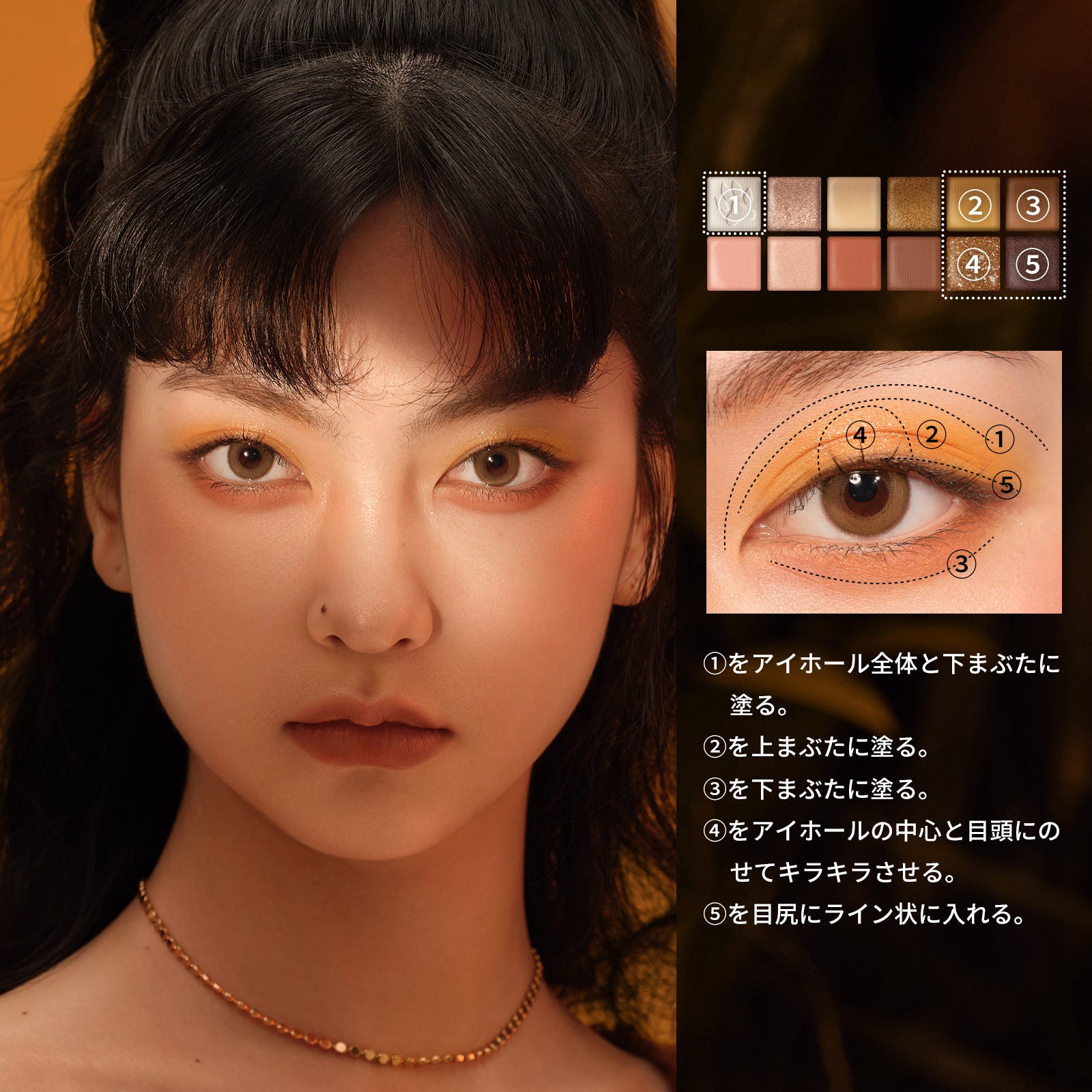 エクスプローラ 12色動物アイシャドウパレット 虎