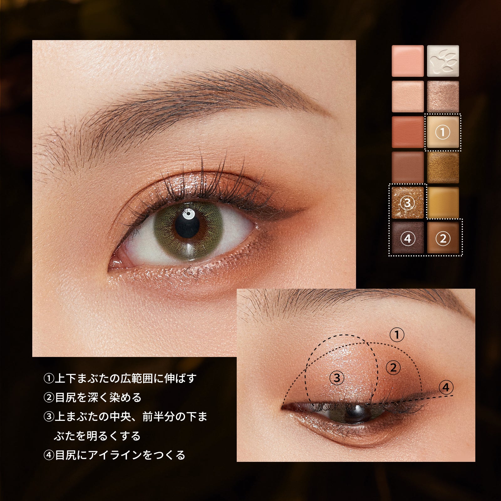 エクスプローラ 12色動物アイシャドウパレット 虎