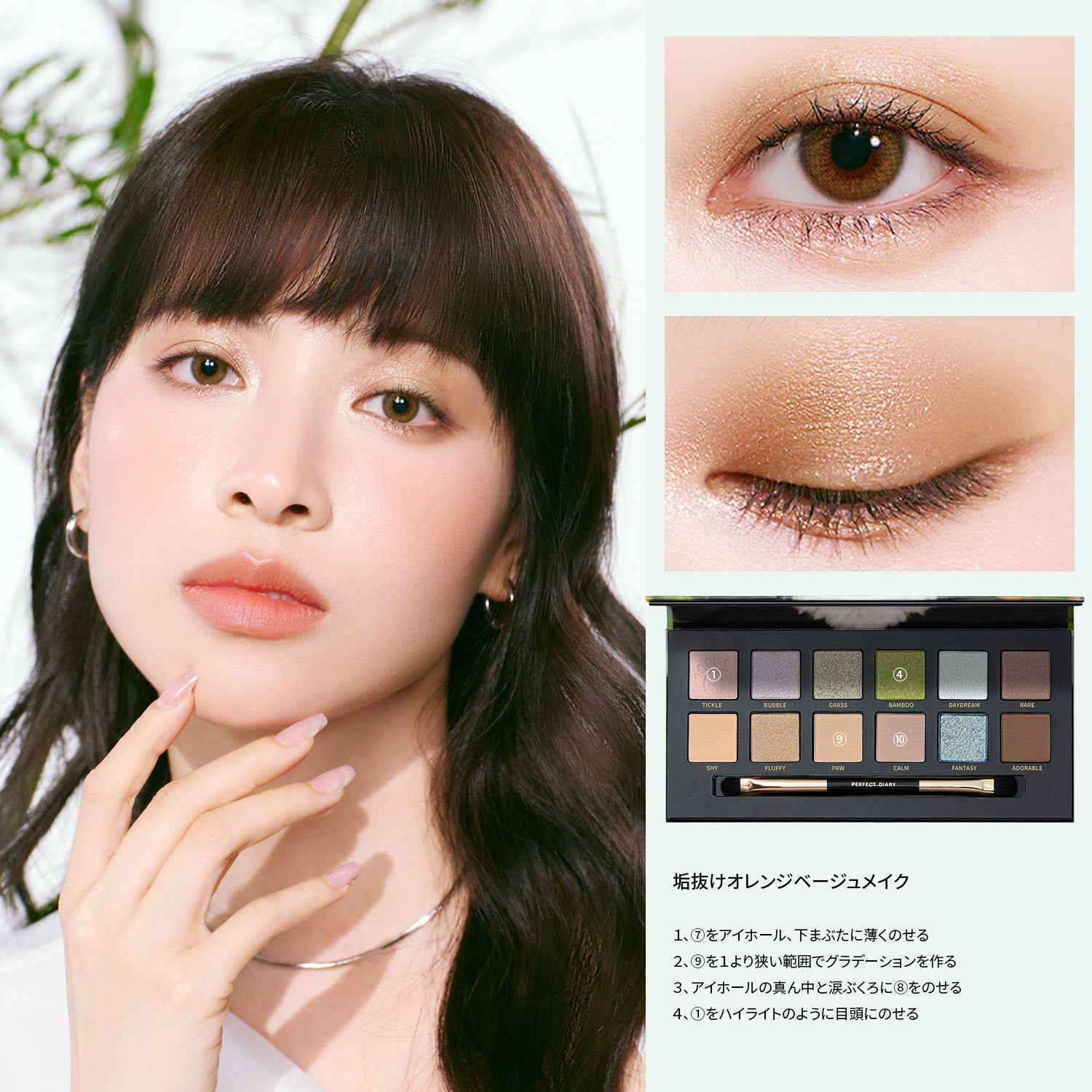 エクスプローラ 12色動物アイシャドウパレット