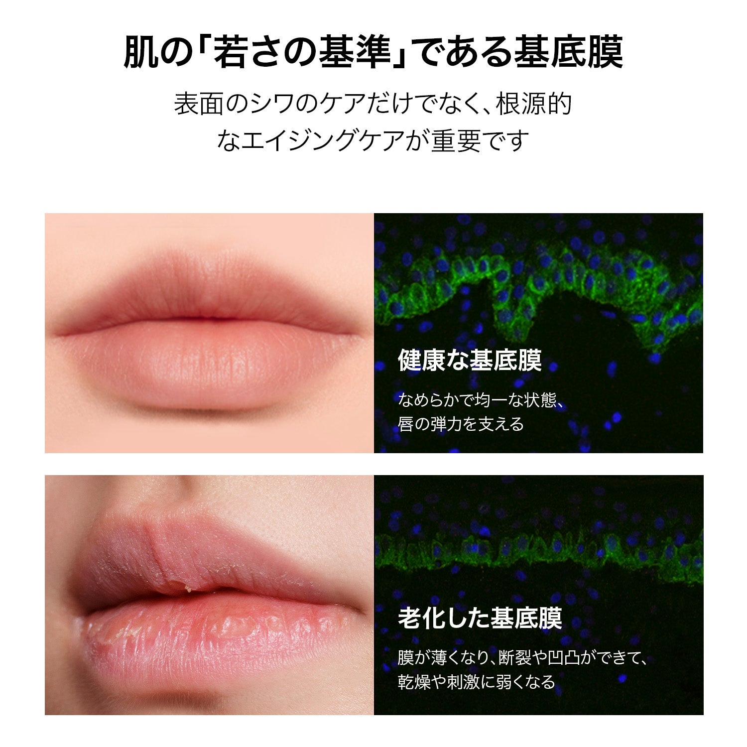 バイオリップ エッセンス リップスティック 725 & 723