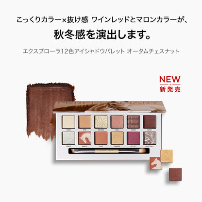 ★新品初売り★【数量限定】モーメントアイズ·ルックセット: 725 &amp; オータムチェスナット